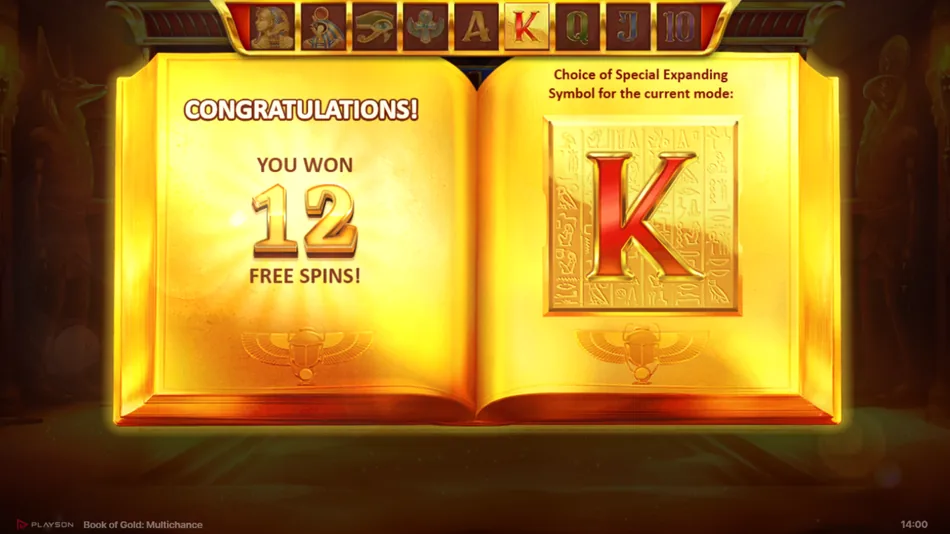 Transition screen showing the random Special Expanding Symbol selection animation in Book of Gold: Multichance